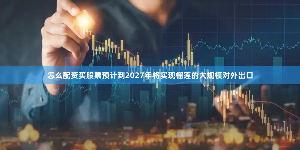 怎么配资买股票预计到2027年将实现榴莲的大规模对外出口